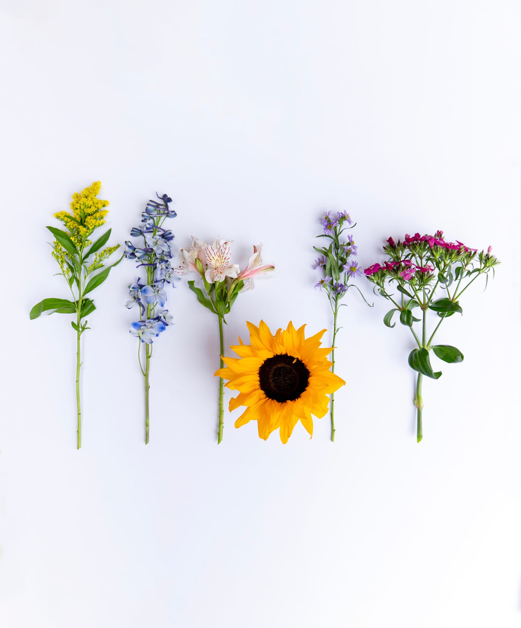 A vibrant collection of fresh flowers, including sunflowers and colorful blooms, on display.
